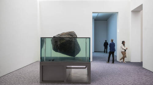 L'univers éphémère de Pierre Huyghe à la Fondation Beyeler
