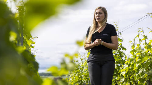 Neuchâtel: association pour valoriser "l'excellence" du vignoble