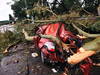 Une tempête fait au moins 16 morts et de nombreuses destructions en Argentine et en Uruguay