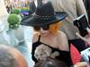 Six ans pour un des hommes qui ont enlevé des chiens de Lady Gaga