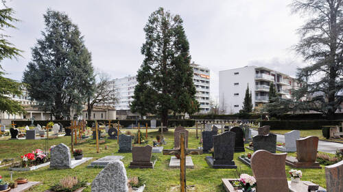 La thématique de la mort à travers le prisme de l'égalité de genre