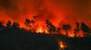 Sud de la France: journée décisive pour combattre le plus gros incendie de l'été