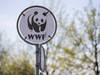 La Russie interdit les activités du WWF
