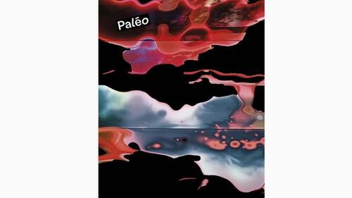 Paléo dévoile l'affiche "futuriste" de sa 49e édition