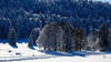 Neige