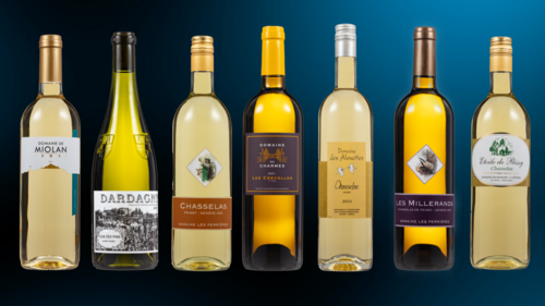 Quels sont les meilleurs vins de Genève en 2022? - Léman Bleu - Guide des Cépages - Découverte et Informations sur les Vins du Monde