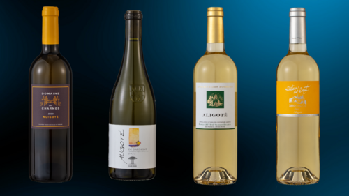 vins 2024 - aligot&eacute;