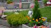Initiative pour un jardin du souvenir pour les animaux domestiques