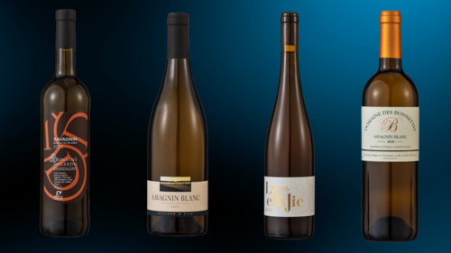 vins 2024 - savagnin + gessafelstein