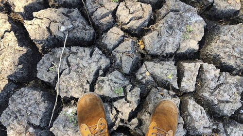 El Niño de retour dans le Pacifique, risques météo extrêmes à venir