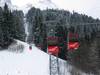 Accident de ski mortel à Rougemont (VD): prévenus acquittés