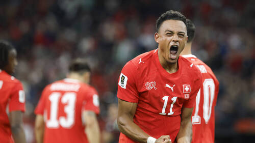 "On en veut plus", lâche Dan Ndoye