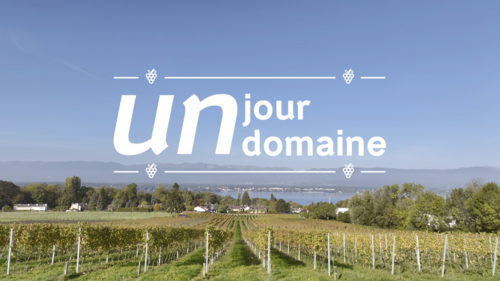 Un jour un domaine