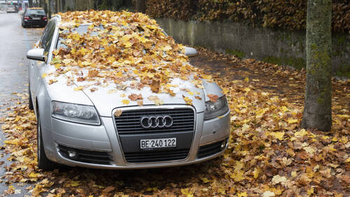 Comment rentrer chez soi sans accident cet automne