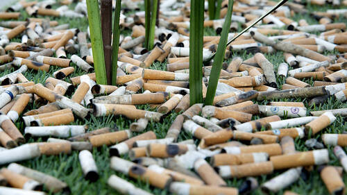 Les mégots de cigarettes sur les places de jeux sont un risque