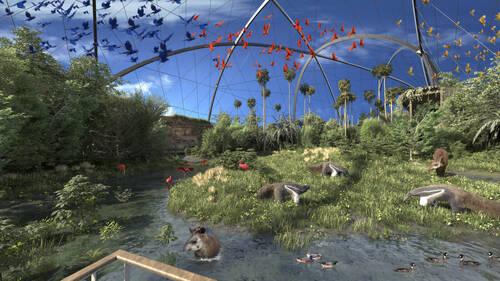 Le zoo de Zurich présente ses projets spectaculaires en détail