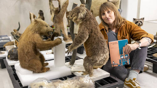 Neuchâtel: quand un déménagement donne lieu à une BD