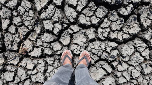 L'étude des coraux montre qu'El Niño s'intensifie avec le climat
