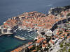 Polémique à Dubrovnik sur le sort d'un félin des rues