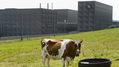 Cocaïne "livrée" chez Nespresso: trafiquants punis à Bâle-Campagne