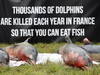 Dauphins: Paris envisage des dérogations pour les fermetures de pêches