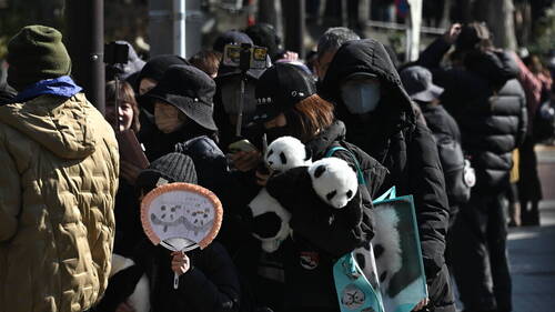 Adieux bouleversants pour les pandas de Tokyo