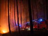 Reprises d'incendies dans le sud-ouest de la France, 6200 hectares brûlés