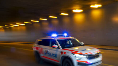 Des braqueurs blessent un employé d'une société à Meyrin (GE)