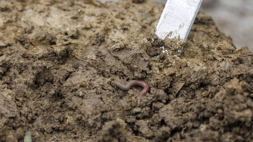 Première station d'essais sur les sols lancée dans le Gros-de-Vaud