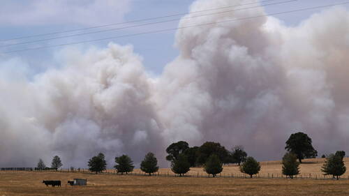 Australie: état de catastrophe dans le sud-est à cause des feux