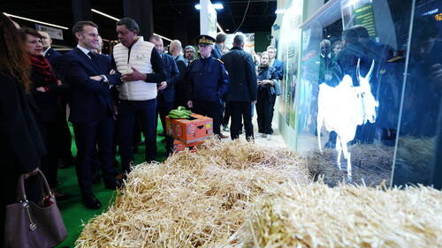 Emmanuel Macron ouvre un Salon de l'agriculture sans vaches