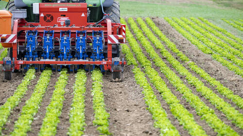 Aide fédérale à l'agriculture, impactée par les accords commerciaux