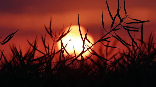 Canicule de juin: au moins 12'000 décès excédentaires en Europe