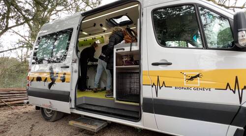 bioarc ambulance