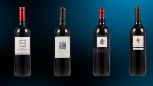 Quels sont les meilleurs vins de Genève en 2022? - Léman Bleu - Guide des Cépages - Découverte et Informations sur les Vins du Monde