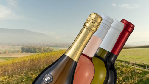 vins 2024 - couverture