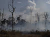 Les surfaces incendiées au Brésil ont presque doublé en novembre
