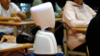 AV1 robot