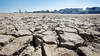 Le mois de janvier 2025 le plus chaud jamais mesuré dans le monde