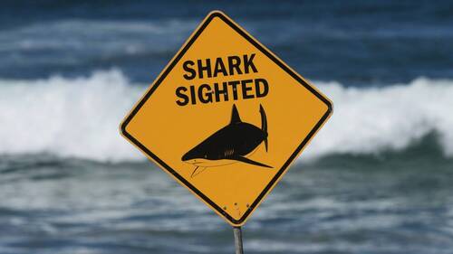 Un homme meurt après une attaque de requin dans le Queensland (AUS)