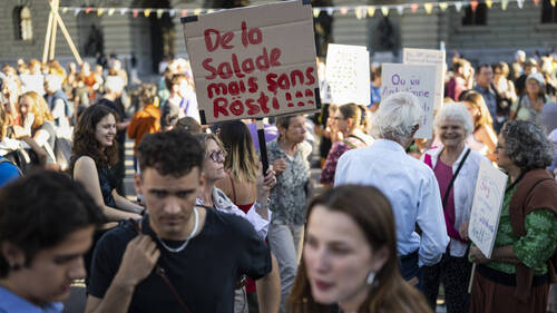 Manifestations pour la protection du climat