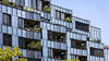 Marché de l'immobilier: croissance modérée des prix attendue