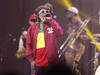 Près de 19'000 spectateurs au festival de reggae Plein-les-Watts