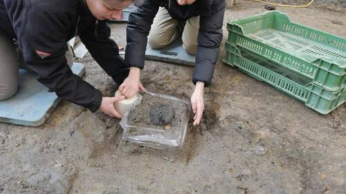 Pain plat romain trouvé lors de fouilles à Windisch (AG)