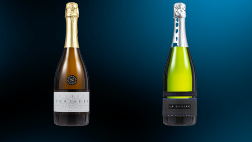 Quels sont les meilleurs vins de Genève en 2022? - Léman Bleu - Guide des Cépages - Découverte et Informations sur les Vins du Monde