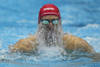 JAPAN SWIMMING WORLDS