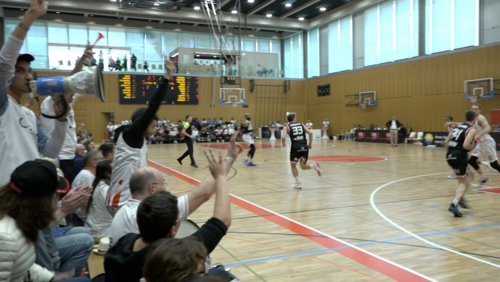 basket