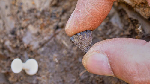 La plus ancienne preuve de maîtrise du feu trouvée au Royaume-Uni