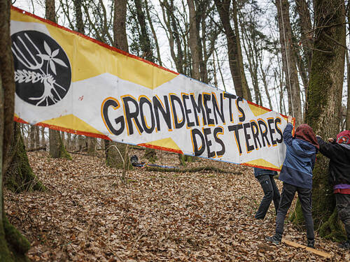 Des militants écologistes occupent une forêt à Vufflens-la-Ville