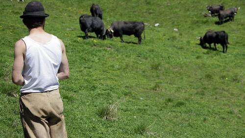 Le secteur de l'alpage déplore un manque de personnel expérimenté